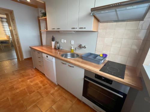 บริการและสิ่งอำนวยความสะดวก, Apartmán U Jiroutů (Apartman U Jiroutu) in โรคิตนิซ วี ออร์ลิซคิช ฮอราค