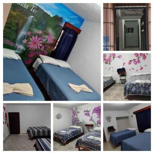 Posada TEO in Xilitla