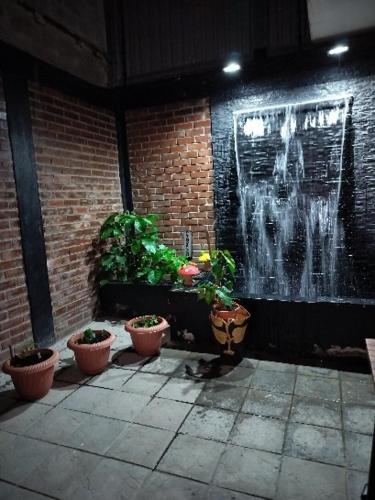 urban oasis, San Pedro Sula