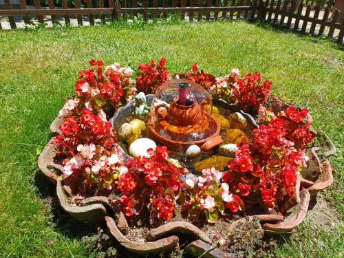 Guest Rooms Dona - image 3