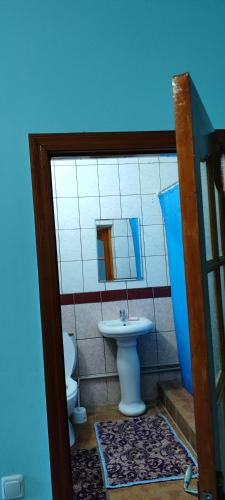 Азия Hotel, Taras (Foto 9)