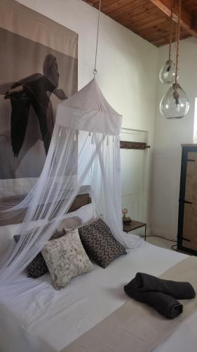Calitzdorp Self-Catering Guesthouse - Oudehuis Calitzdorp Self-Catering Guesthouse - Oudehuis