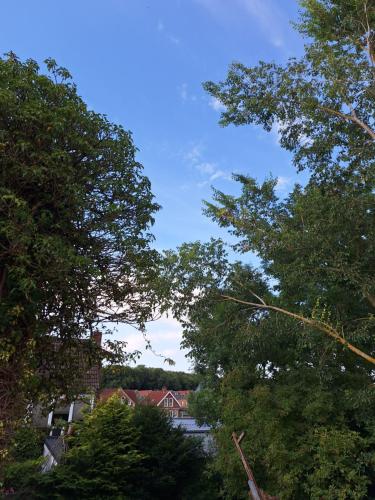 Fleute, Emden (foto 9)