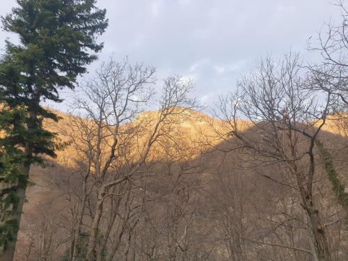 Locanda In Montagna Da Emili&Gabriel in Lizzano in Belvedere