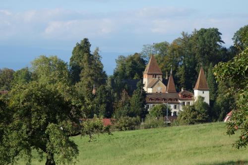 Schloss Münchenwiler - image 2