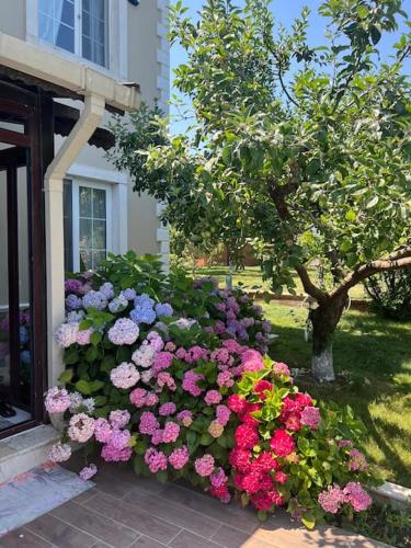 Villa Elegance, Kocaeli (foto 3)