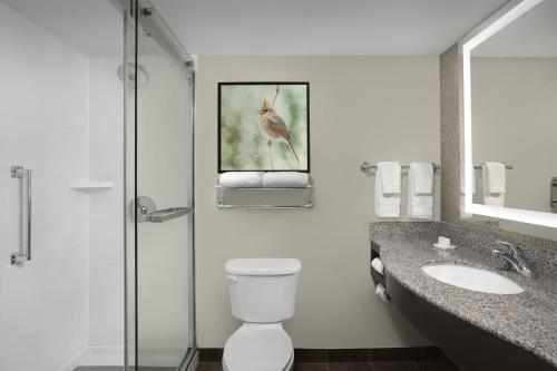 Hilton Garden Inn Hoffman Estates - image 13