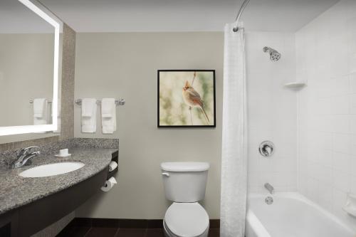 Hilton Garden Inn Hoffman Estates - image 9