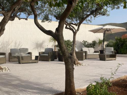 Olea 2