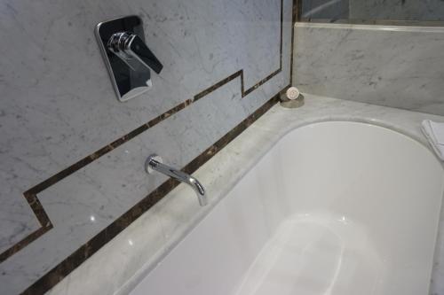 Trevi Palace Luxury Inn - image 4