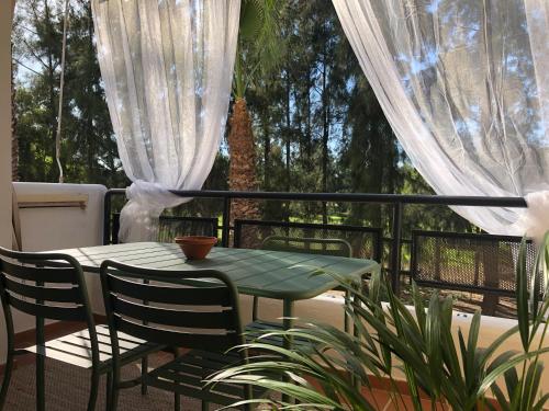 Cigüeñas Cigüeñas