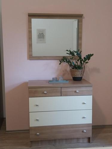 Apartment - Ground Floor image 8