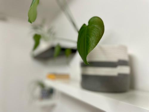 GreenChill House - West Rome, Roma (foto 8)