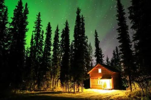 Cabin in the woods Fairbanks, Alaska, United States, Ester, United States