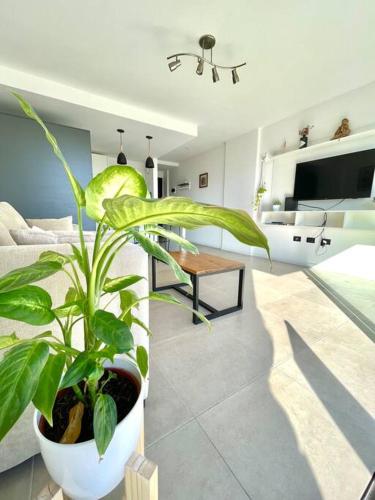 One-Bedroom Apartment image 10