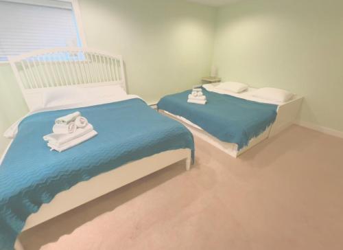 COZY Great 2bed-2bath Independent Basement suit Holiday Home in North Delta in Delta, Canada