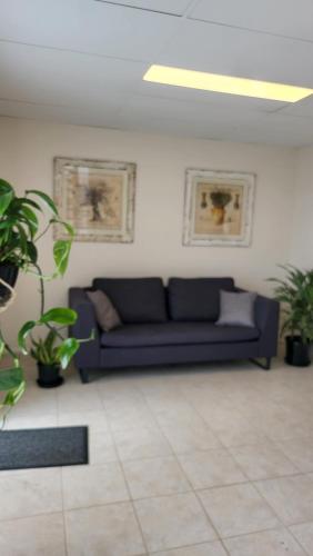 The Gabba B&B - Brisbane