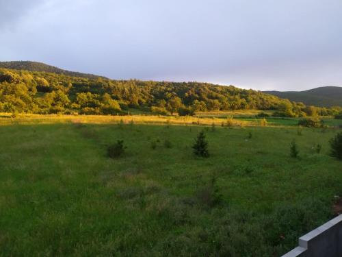 Natura Lux & Parking Free - Green Hill, blizu Akva parka