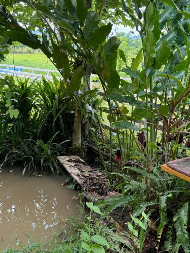 Rai Boonsom Rai Boonsom