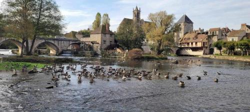 Kilátás, Détente à Sorques (Detente a Sorques) in Montigny-sur-Loing
