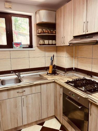 keuken, Pensiunea Roua in Poiana Tapului