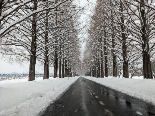 FarmStay INN Sanzaemontei 三左衛門邸 別館 wide room - One group per day, one building available for exclusive use