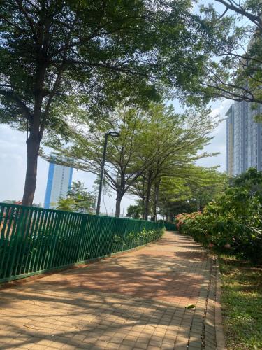 My shie room My shie room