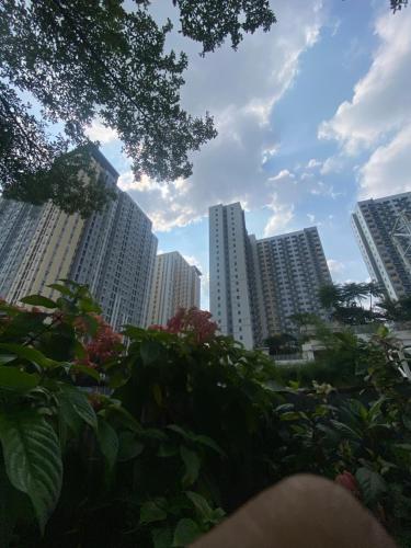 My shie room My shie room