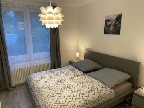 SybilleGaniaBerlin-Steglitz, Berlino (foto 3)