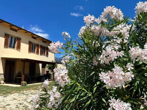 Appartamento Locazione Turistica L'Antica Sorgente Panicale