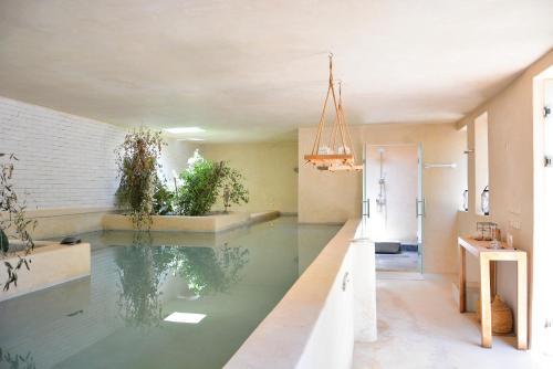 Villa Tulum - Indoor Spa & Pools - image 14