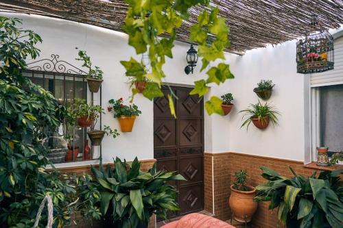 Casa Peñacerrada, Ronda (photo 6)