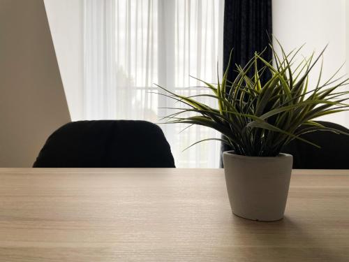 HOLI-Berlin Hotel - image 8