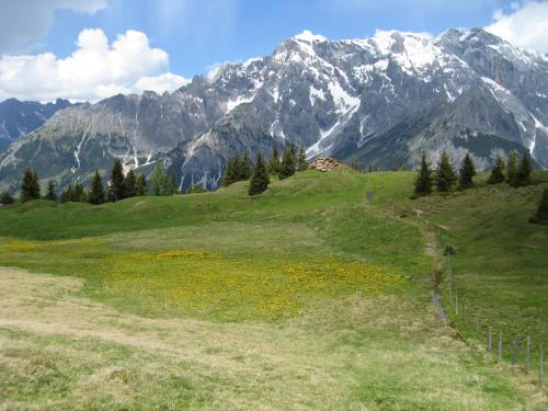 Der Alpenhof Maria Alm – Maria Alm, SD