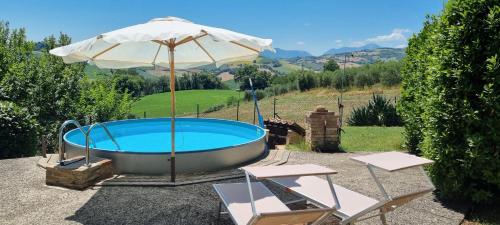 Peldbaseins, Ferienhaus "Casa Oleandro" in Fratte Rosa, Italien in Fratte Rosa