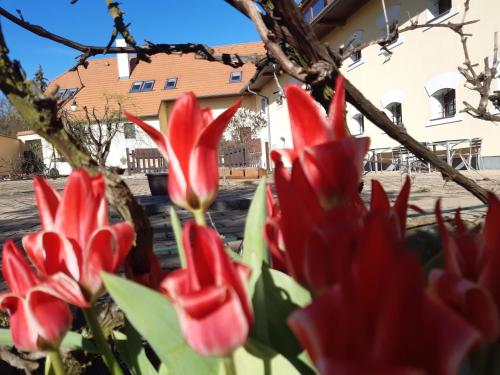 景觀, Apartmán Na návsi (Apartman Na navsi) in 特熱比茲