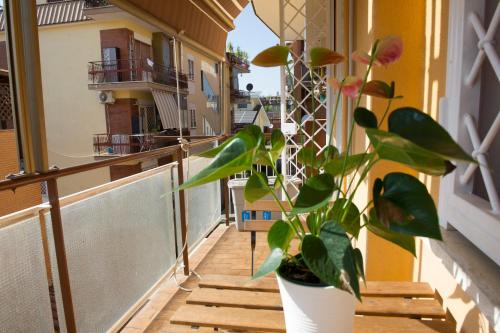 A Casa di Lù vicino Vaticano