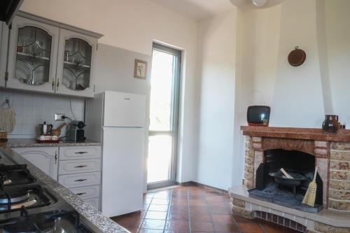 Villa in Vigna, Luogosano (photo 8)