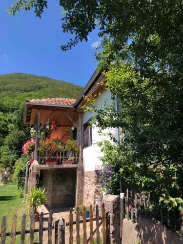 . Stara planina, smestaj Ćirković