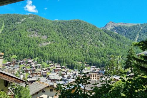 Haus Bodmen C, Apartment Anemone, Zermatt (photo 8)