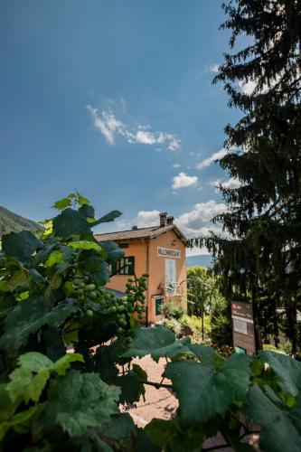 B&B Vallombrosa - image 3