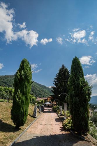 B&B Vallombrosa - image 8