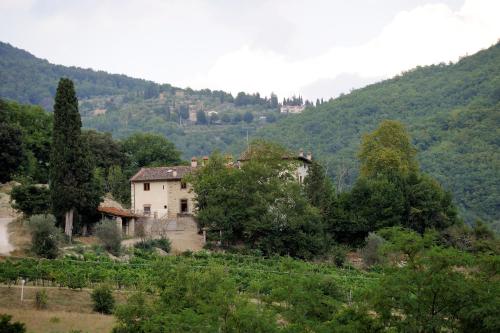 Tenuta dei Cavalieri