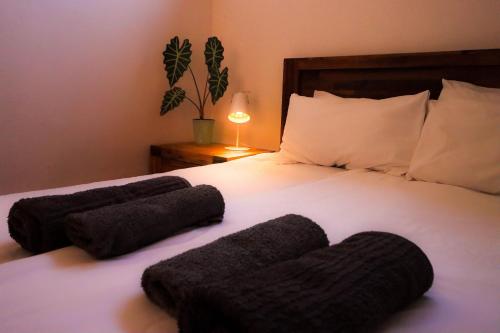 Surfhostel Cape Town Room Type - Apartment