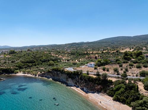 Kirke's Nest Apartments in คาลามากิ