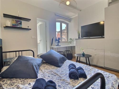 Le Petit Terraille, BNBconciergerie