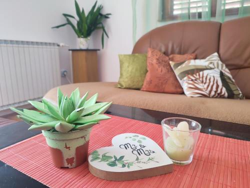 Apartment Dandelion