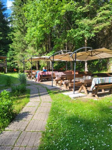 Pension Cabana Cetatile Ponorului - image 6