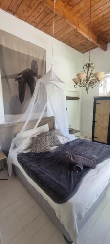 Calitzdorp Self-Catering Guesthouse - Oudehuis Calitzdorp Self-Catering Guesthouse - Oudehuis