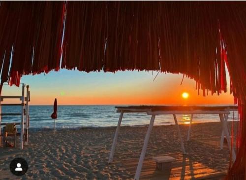 Cerca de lugares turísticos, Mare a 2min - Casa con Piscina e Posto in Spiaggia - Parcheggio in Tirrenia
